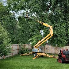 Best Commercial Tree Services  in West Wendover, NV